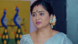 Ninnu Kori (Star Maa) S01 E312 Shyamala's Promise to Chandrakala