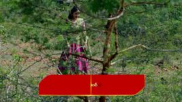 Renuka Yellamma (Star Maa) S01 E653 Karthaveerya's Order to Jwalaksha