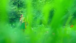 Tenali Rama S02 E168 Padchinh Ki Jaanch
