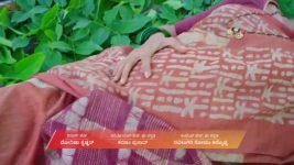 Amruthadhare S01 E671 9th July 2025