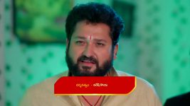 Bhanumathi (Star Maa) S01 E116 Bhanumathi, Pardhu Are Overjoyed
