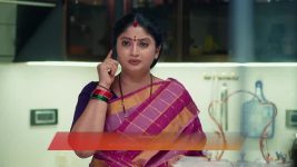 Chamanthi (Zee Telugu) S01 E160 1st July 2025