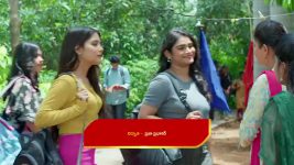 Chinni (Star Maa) S01 E329 A Ray of Hope for Mahi
