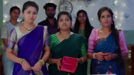 Chinni (Star Maa) S01 E331 Lohitha Captivates Varun