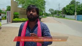 Gharana Mogudu (Zee Telugu) S01 E54 12th July 2025