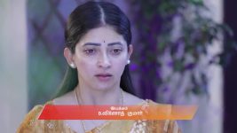 Idhayam S01 E729 5th July 2025