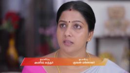 Idhayam S01 E741 19th July 2025