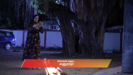 Idhayam S01 E745 24th July 2025