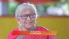 Idhayam S01 E747 26th July 2025