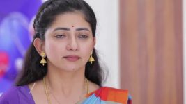Idhayam S01 E749 29th July 2025