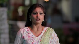 Illu Illalu Pillalu (Star Maa) S01 E204 Narmada, Prema Doubt Srivalli