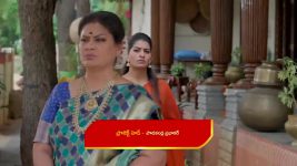 Illu Illalu Pillalu (Star Maa) S01 E206 Prema, Narmada on a Quest