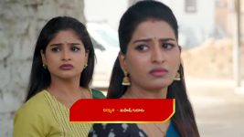 Illu Illalu Pillalu (Star Maa) S01 E218 Srivalli Cautions Prema