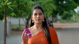 Illu Illalu Pillalu (Star Maa) S01 E220 Anand Rao Imagines the Worst