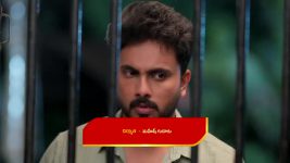 Illu Illalu Pillalu (Star Maa) S01 E222 Srivalli Punishes Prema