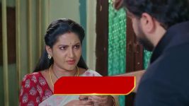 Intinti Ramayanam (Star Maa) S01 E335 Parvati Faces Humiliation