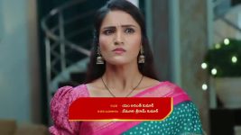 Intinti Ramayanam (Star Maa) S01 E342 Avani Annoys Parvati