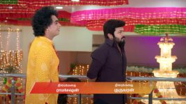 Karthigai Deepam S01 E917 28th July 2025