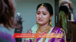 Naa Ninna Bidalaare (Zee Kannada) S01 E132 29th July 2025