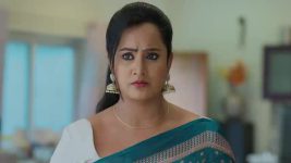 Ninnu Kori (Star Maa) S01 E341 Shalini Grows Frustrated