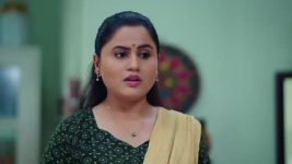 Pinga Ga Pori Pinga S01 E224 Indumati and Neelima Betray Each Other