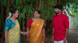 Sandhya Raagam (Tamil) S01 E577 8th July 2025
