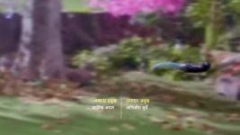 Shiv Shakti S01 E765 Martand Is Poisoned by a Dagger