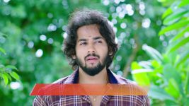 Shravani Subramanya S01 E342 4th July 2025