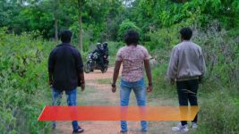 Shravani Subramanya S01 E343 7th July 2025