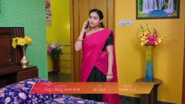 Shravani Subramanya S01 E350 16th July 2025