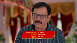 Gunde Ninda Gudi Gantalu S01 E459 Vidya, Rohini's Plan Falls Apart