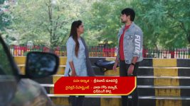 Guppedantha Manasu S01 E609 Rishi Encourages Vasudhara