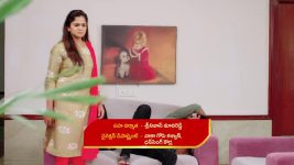Guppedantha Manasu S01E162 Vasudhara Loses Her Cool Full Episode