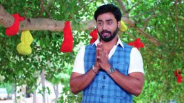 Guppedantha Manasu S01E169 Mahindra's Suggestion for Vasudha Full Episode