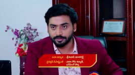 Guppedantha Manasu S01E177 Will Vasudhara Forgive Rishi? Full Episode