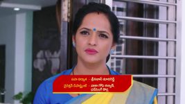 Guppedantha Manasu S01E454 Devayani, Sakshi Team Up Full Episode