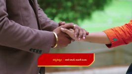 Guppedantha Manasu S01E459 Sakshi's Wicked Plan Full Episode