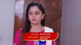 Guppedantha Manasu S01E515 Vasudhara on Cloud Nine Full Episode