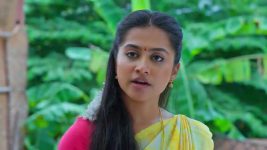 Maguva O Maguva S01 E440 Chenchalamma's Prayers Are Answered