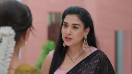 Ninnu Kori (Star Maa) S01 E338 Kamakshi, Sruthi's Plot Backfires