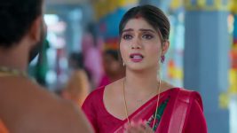 Ninnu Kori (Star Maa) S01 E354 Kamakshi, Sruthi's Conspiracy