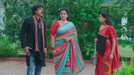 Paluke Bangaramayana S01 E580 Swaragini Warns Subhadra, Parshu