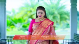 Amruthadhare S01 E705 13th August 2025