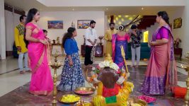 Annapoorna S01 E954 25th August 2025