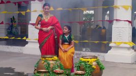 Annapoorna S01 E955 26th August 2025
