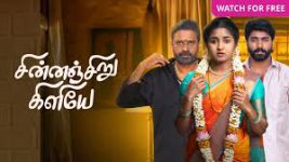 Chinnan Siru Kiliye Chinnan Siru Kiliye