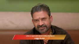 Chinnan Siru Kiliye S01 E29 29th August 2025