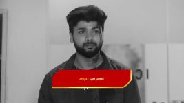 Chinni (Star Maa) S01 E343 A Shocker for Nagavalli