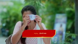 Chinni (Star Maa) S01 E349 A Stunner for Vasantha, Nagavalli