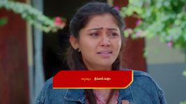 Chinni (Star Maa) S01 E363 Deva Erupts in Anger